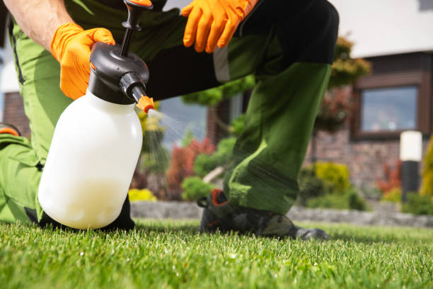 Best Flea Control Services  in Bluff City, TN
