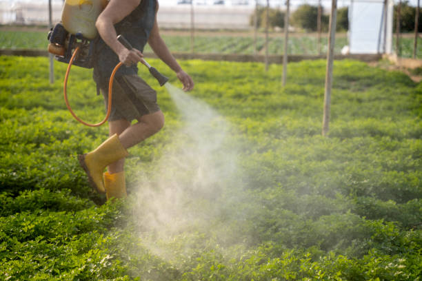 Best Best Pest Control Companies  in Bluff City, TN