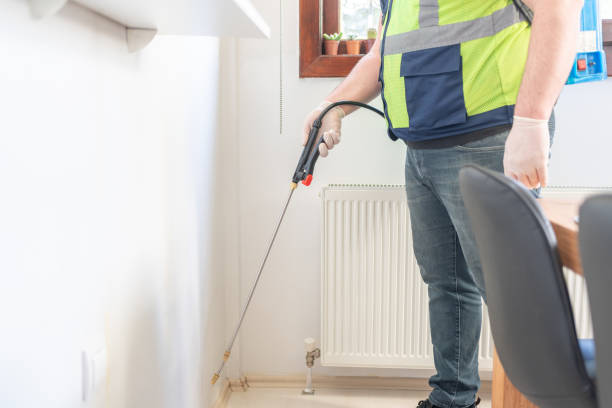 Best Local Pest Control Services  in Bluff City, TN