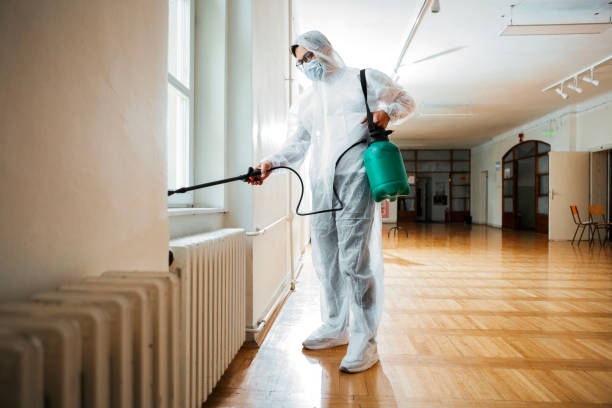 Best Cockroach Control Services  in Bluff City, TN