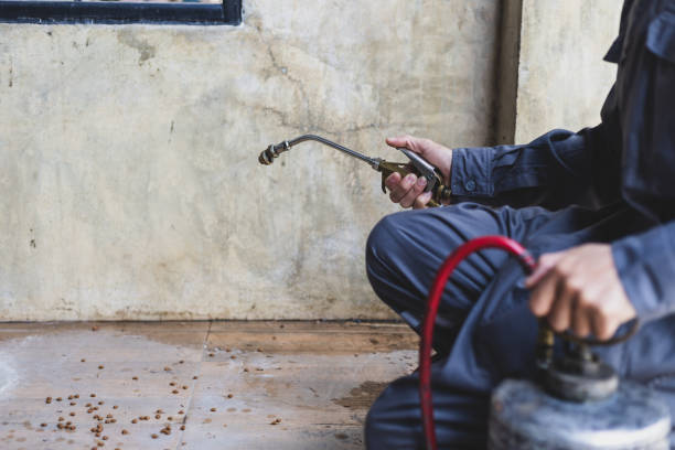 Best Commercial Pest Control Services  in Bluff City, TN