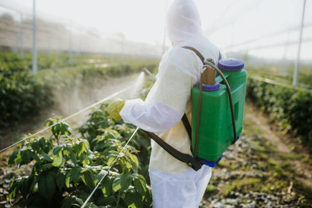 Best Affordable Pest Control Services  in Bluff City, TN